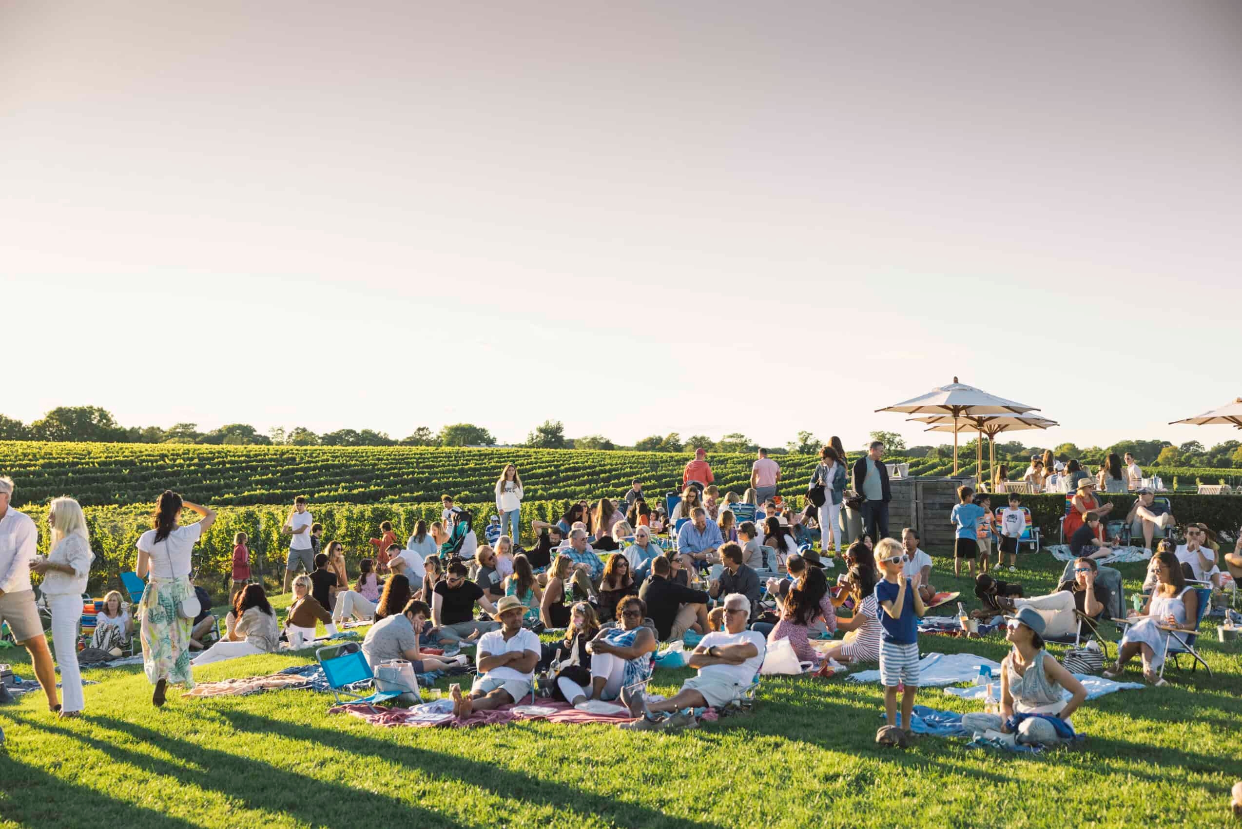 ¡Tu guía de verano de los Hamptons 2025 ya está aquí!