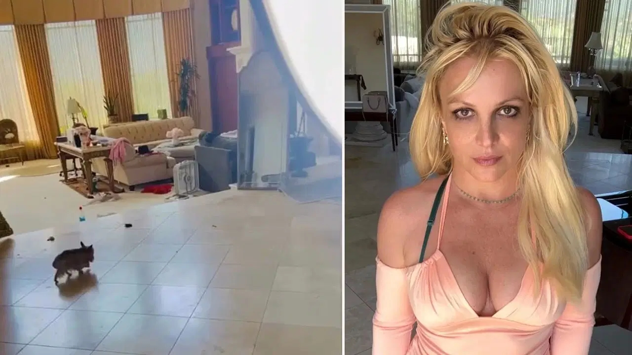 A cantora mundialmente famosa Britney Spears preocupou seus fãs: sua casa está cheia de fezes de cachorro!