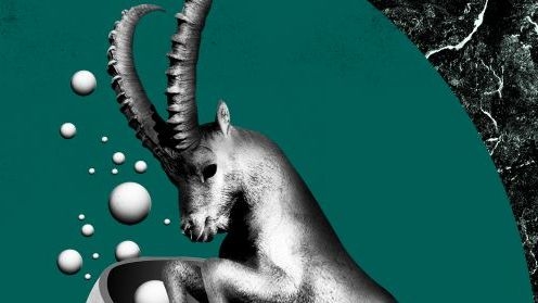 Monatshoroskop Steinbock: Das erwartet Ihr Sternzeichen diesen Monat