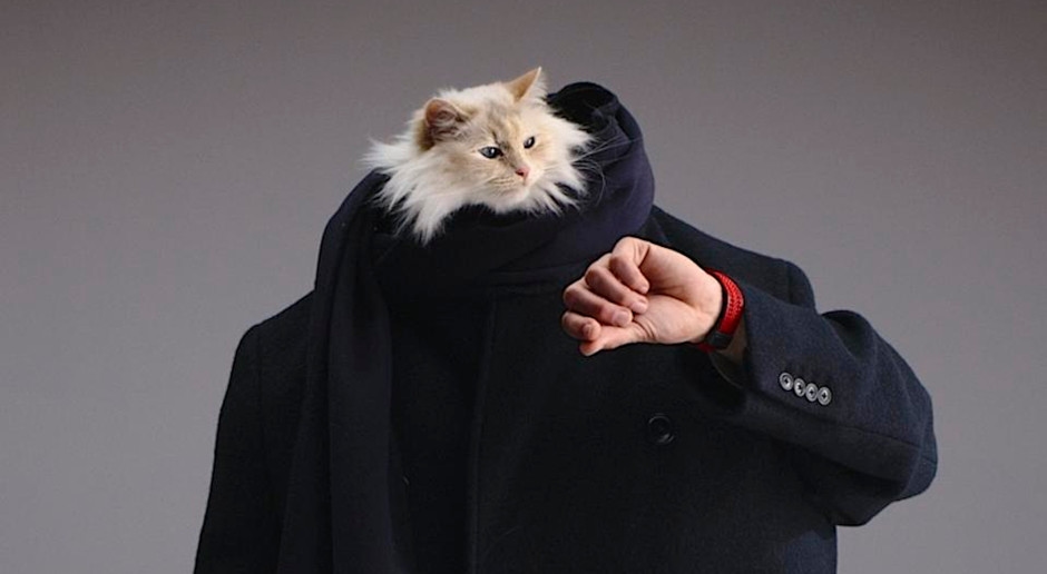 A Hublot contratou o gato de Lagerfeld. Choupette de olhos azuis com um Big Bang de jubileu e... um copo de leite