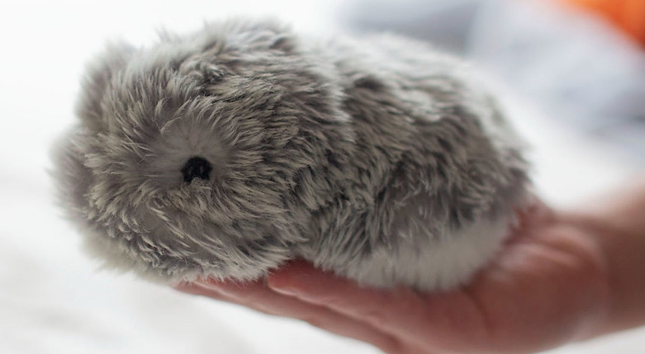 Labubu tiene una competencia seria. Esta es la nueva obsesión de peluche de la Generación Z.