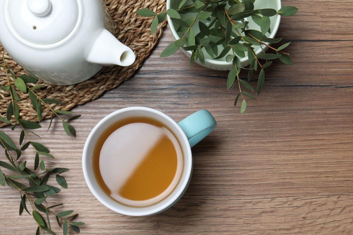 Find out which tea boosts memory and increases concentration in your daily life