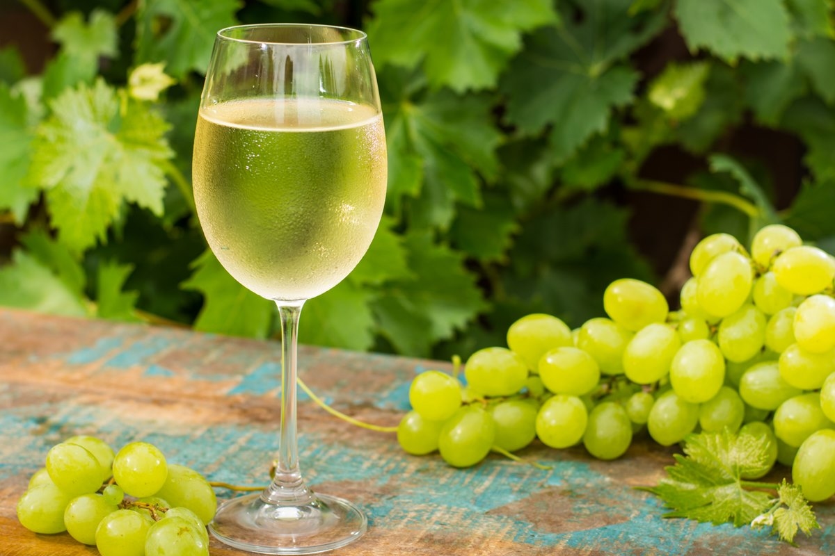 Is wijn goed of slecht? Ontdek wat de wetenschap zegt over deze populaire drank.