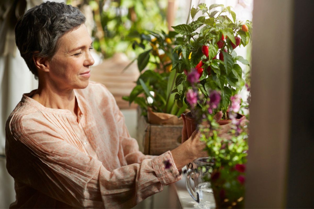 3 aromatische bloemen om muizen uit je huis te houden