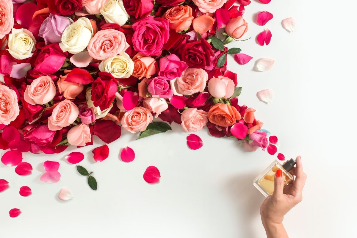 Lichtheid en vitaliteit in de lucht: bekijk de ideale parfums voor de lente