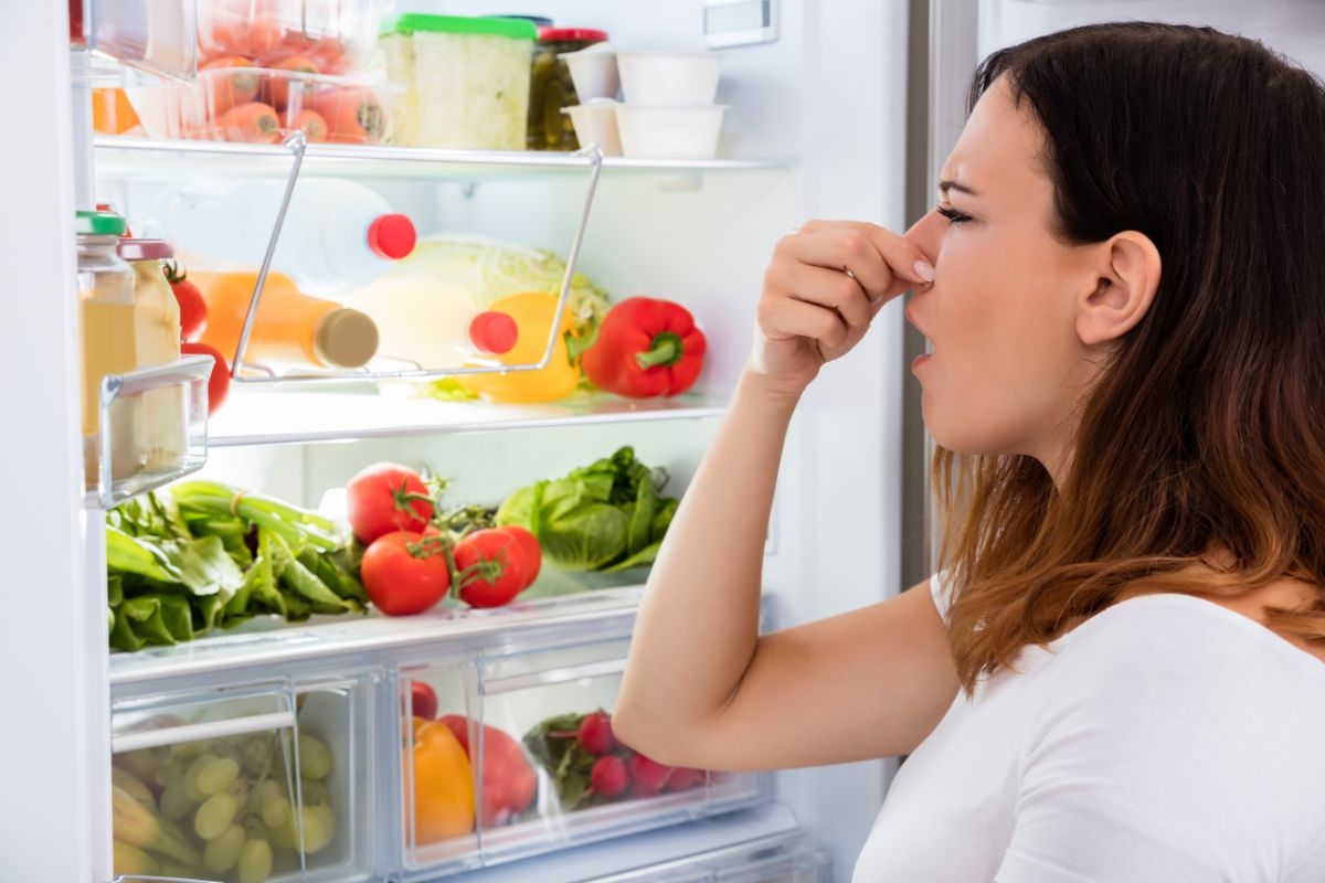 Bye-bye, bad smells! A popular herb helps eliminate bad odors in the refrigerator.