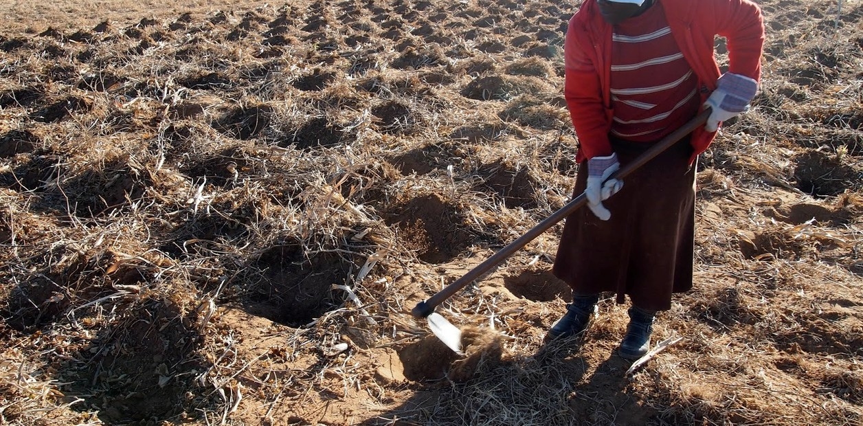 David Laborde: Segurança alimentar e nutricional em tempos de crise econômica e mudanças climáticas