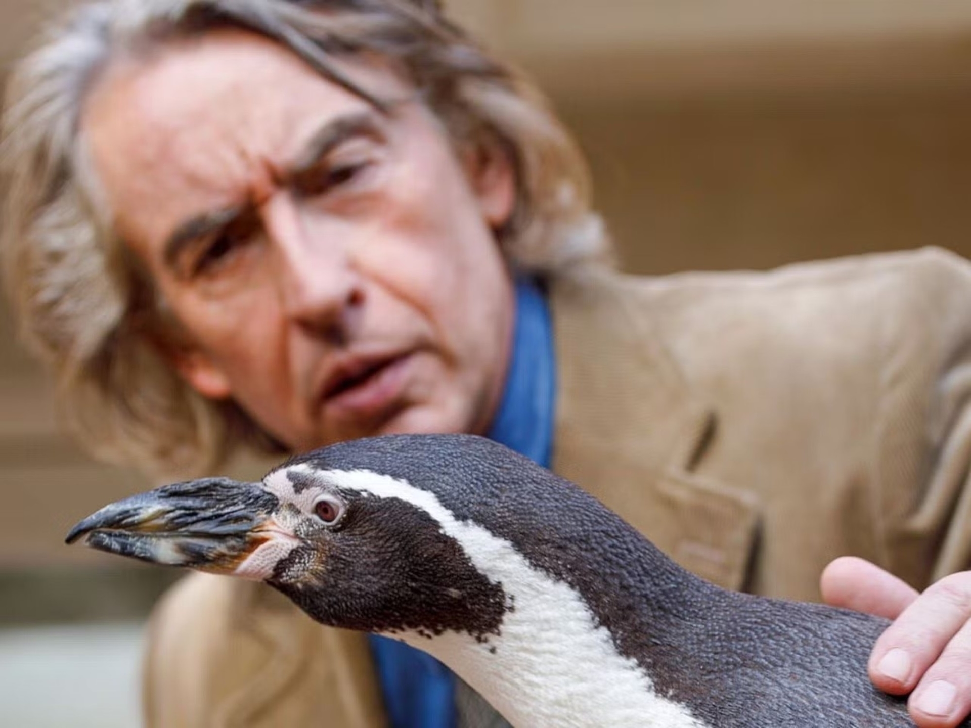 Die unglaubliche Geschichte des Pinguins, der in den 1970er Jahren in der Saint George's School lebte: Der Lehrer, der ihn adoptierte, spricht.