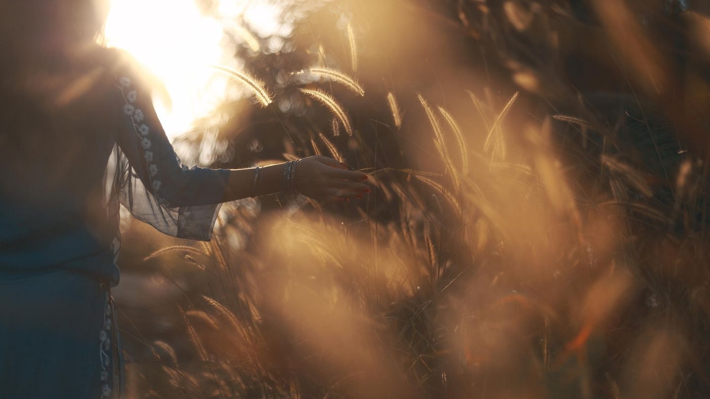 Horoscope du mois : Quels signes du zodiaque se reconnectent à leur passé ?