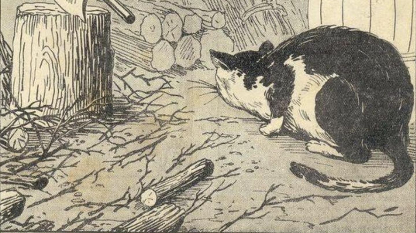 Hidden picture: Everyone sees the cat – but only a few find the hidden mouse